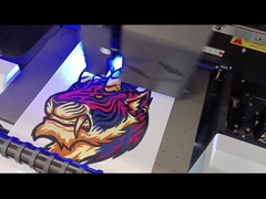 โปรแกรมแสดงภาพหนังม้วน